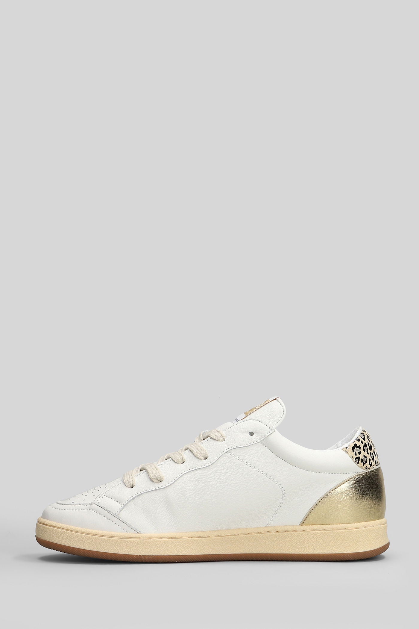 Ama Brand - 4563 Sun Maculato/Gold