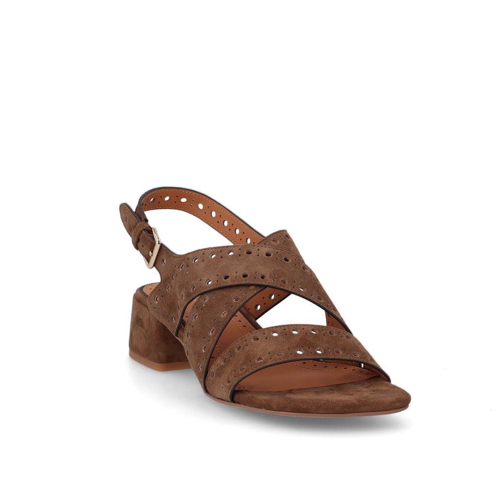 Bruno Premi - Sandalo BN4203X Suede Tobacco